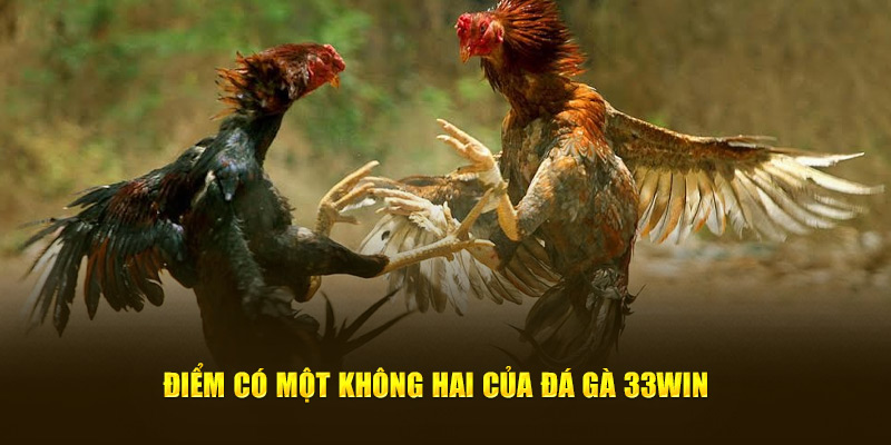Điểm có một không hai của đá gà 33WIN