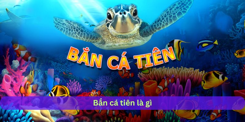 Khái niệm bắn cá tiên 33WIN là gì